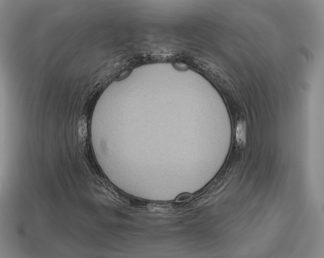 X0000113021299200909241626