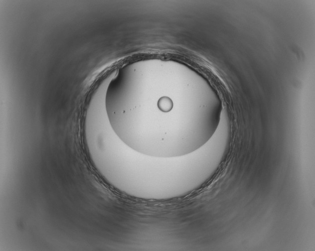 X0000113021304200909241627