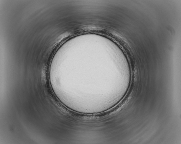 X0000113021305200909241627