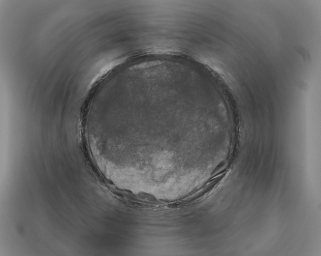 X0000113021306200909241627