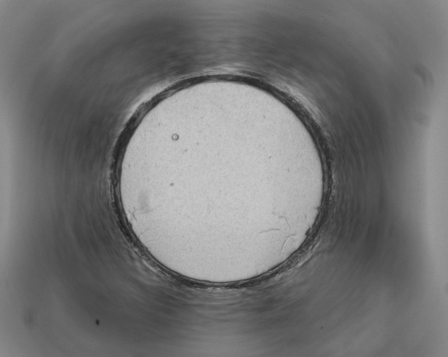 X0000113021308200909241627