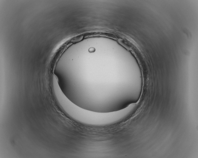 X0000113021310200909241627