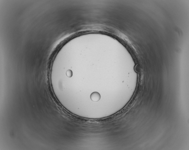 X0000113021312200909241627