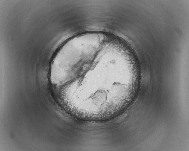 X0000113021314200909241627