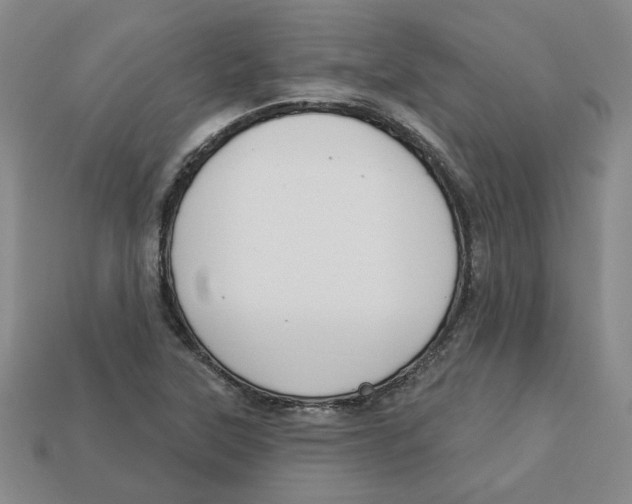 X0000113021315200909241627