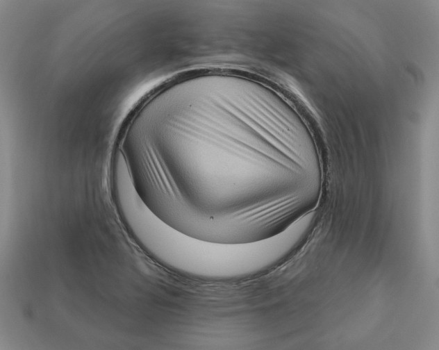 X0000113021320200909241627