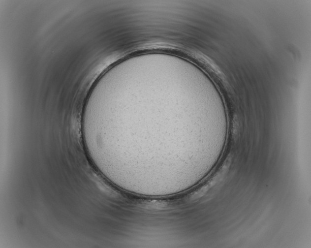 X0000113021321200909241627