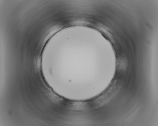 X0000113021322200909241627