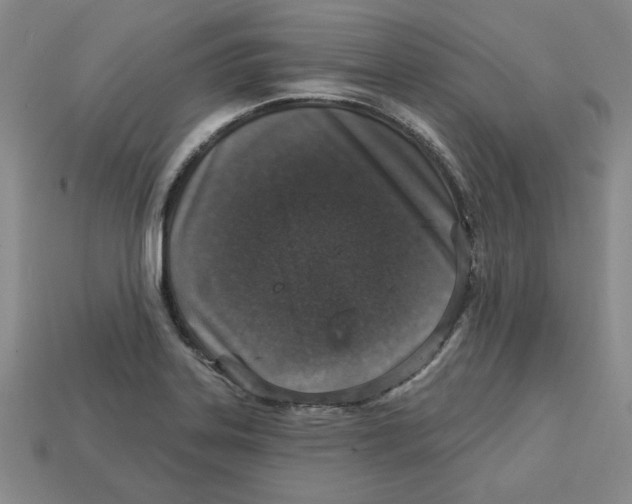 X0000113021323200909241627