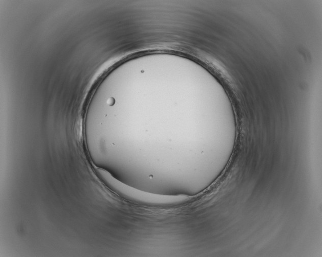 X0000113021324200909241627