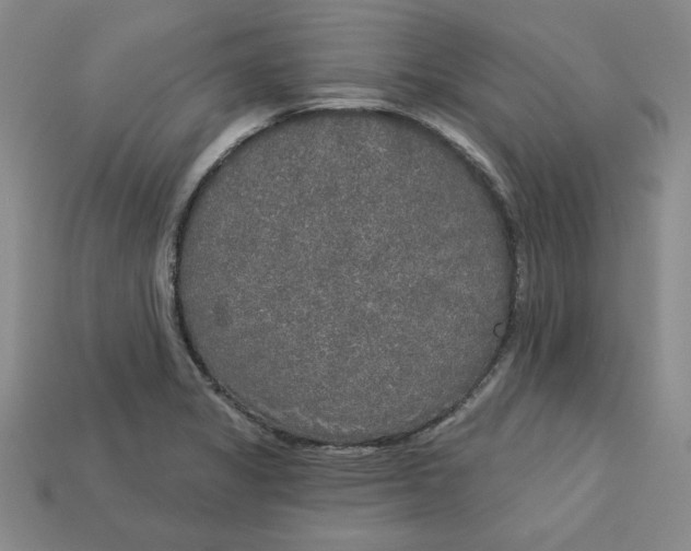 X0000113021325200909241627