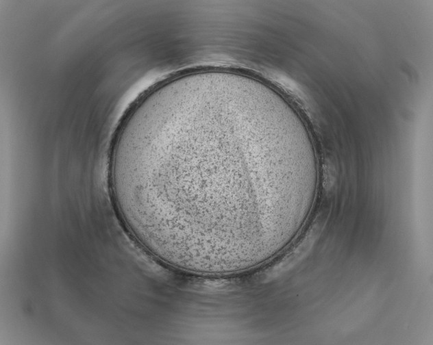 X0000113021326200909241627