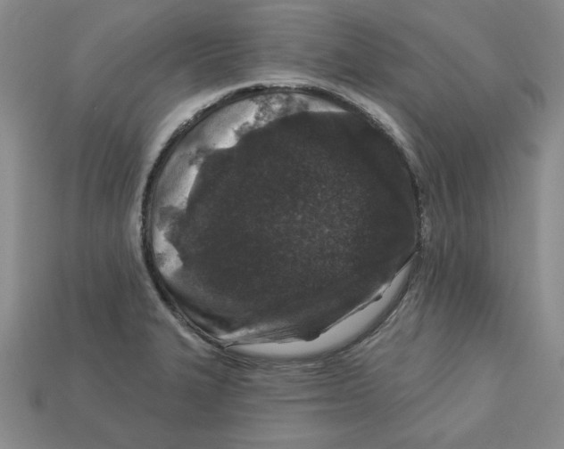 X0000113021327200909241627