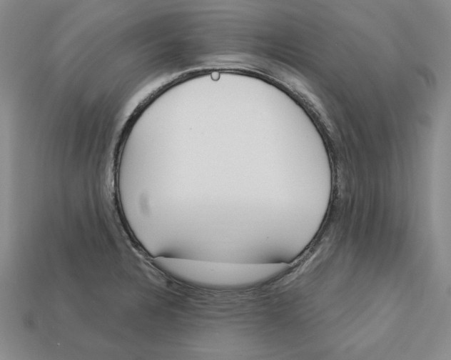 X0000113021328200909241627