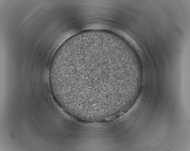 X0000113021329200909241627