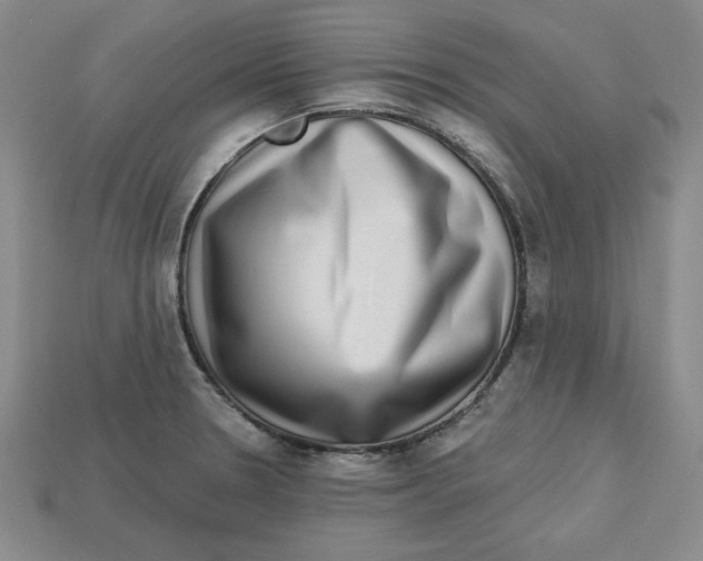 X0000113021330200909241627