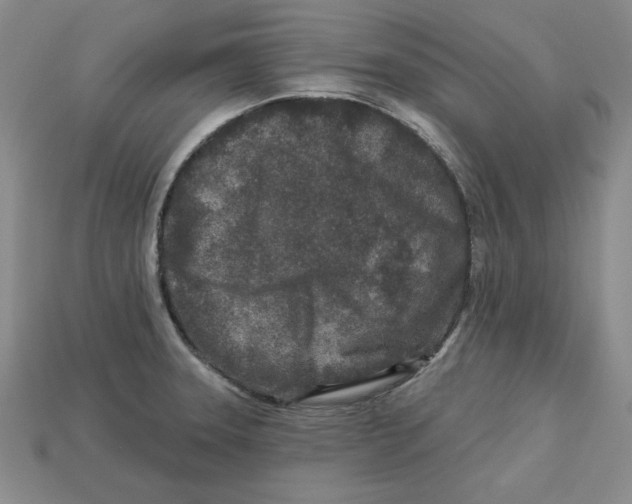 X0000113021331200909241627