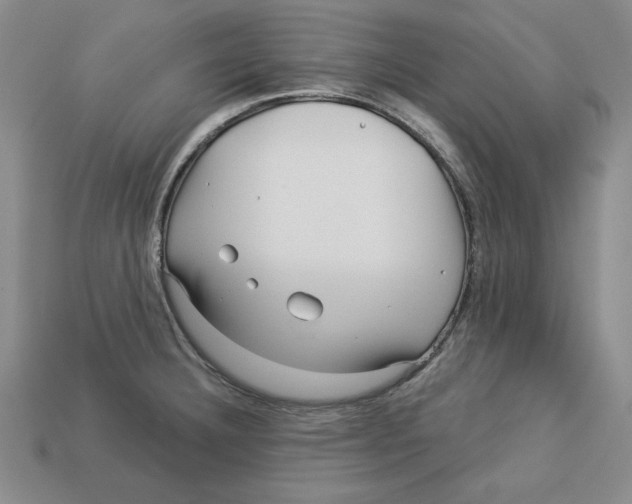 X0000113021332200909241627