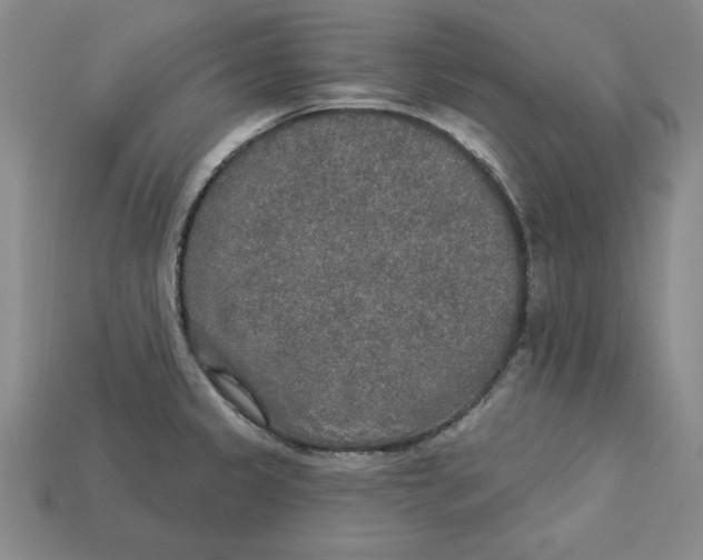 X0000113021333200909241627