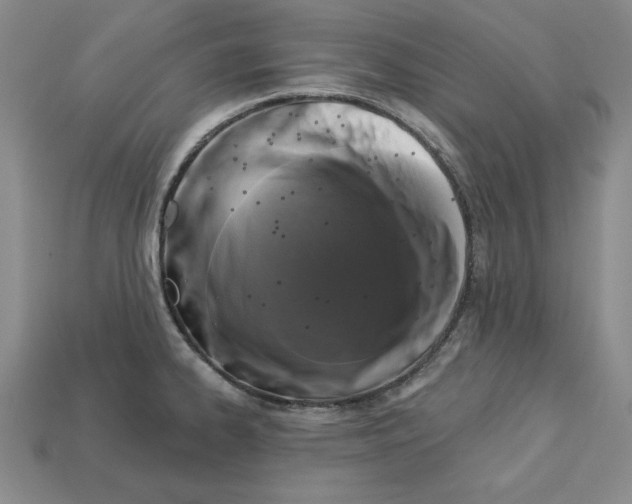 X0000113021334200909241627