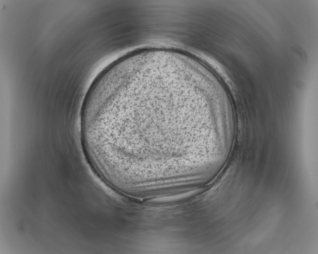 X0000113021335200909241627