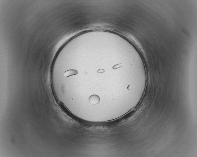 X0000113021336200909241627