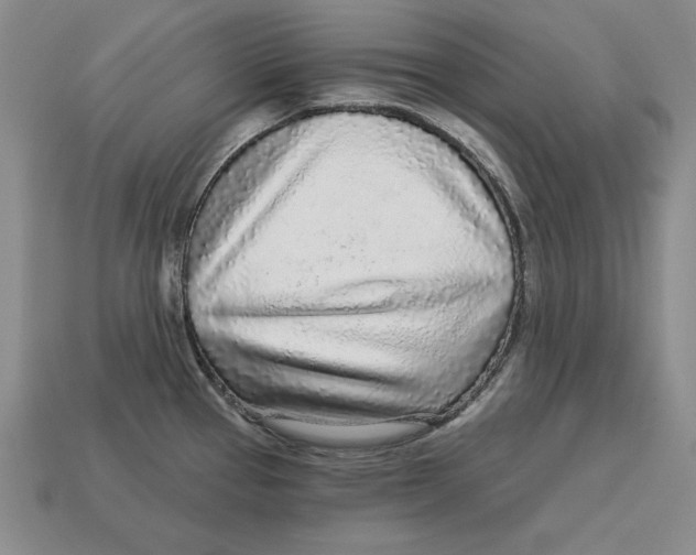 X0000113021337200909241627