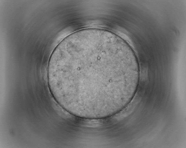 X0000113021338200909241627