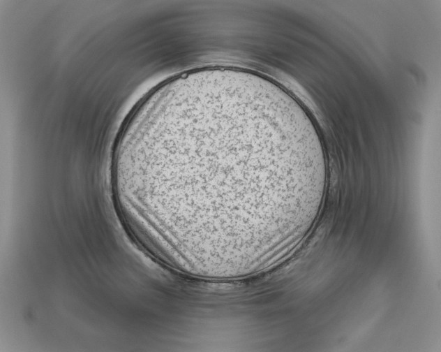 X0000113021339200909241627