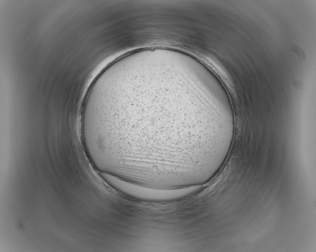 X0000113021340200909241627