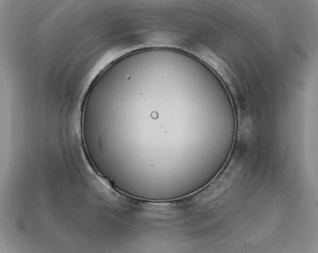 X0000113021342200909241627