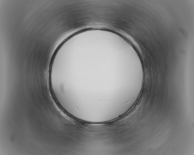 X0000113021343200909241627