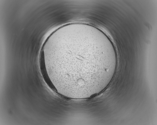 X0000113021344200909241627