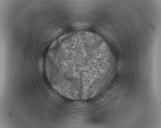 X0000113021346200909241626