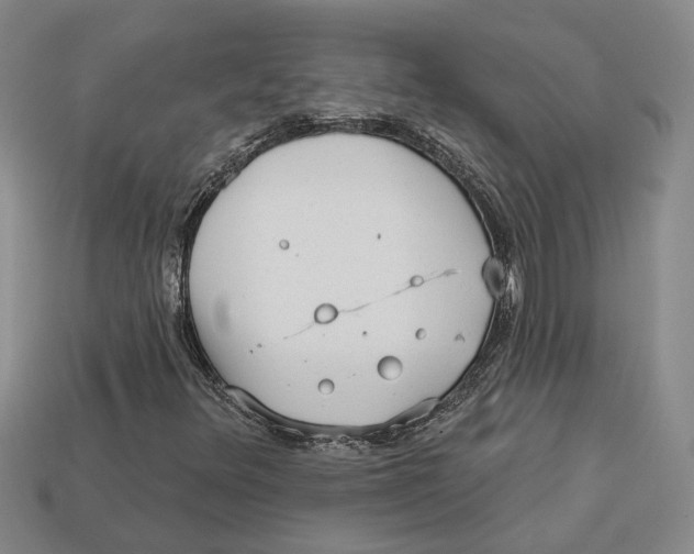 X0000113021348200909241626