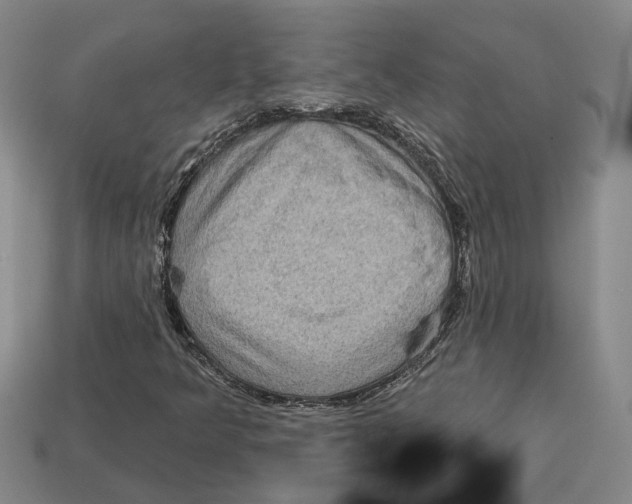 X0000113021349200909241626