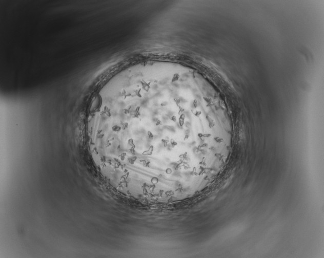X0000113021350200909241626