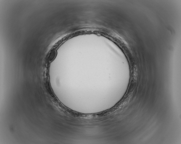 X0000113021352200909241626