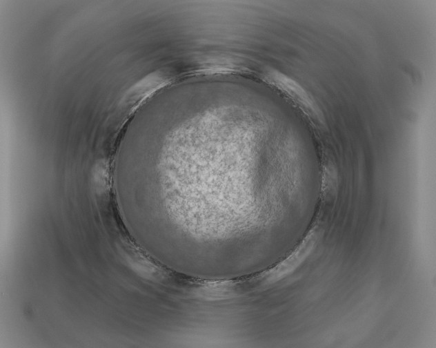 X0000113021353200909241626