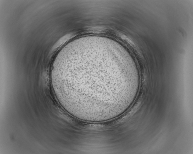 X0000113021354200909241626