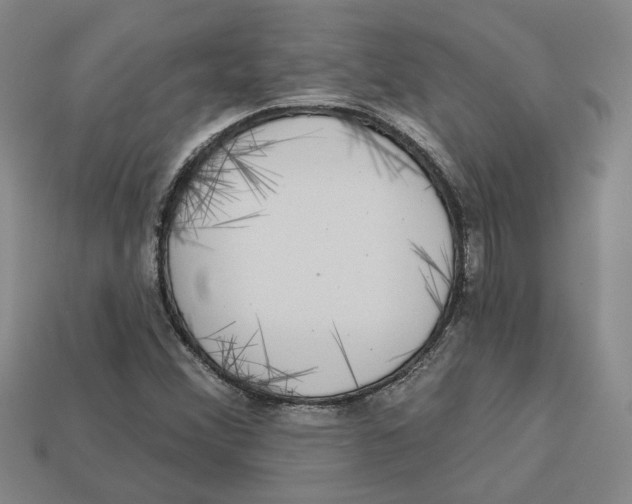 X0000113021356200909241626