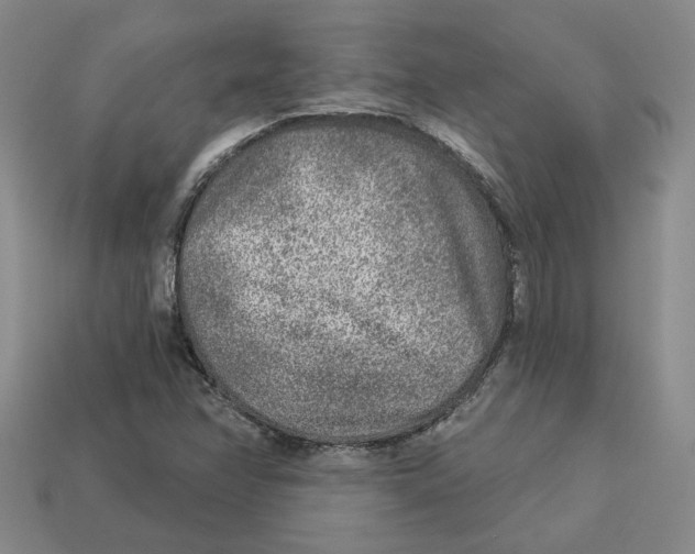 X0000113021358200909241626