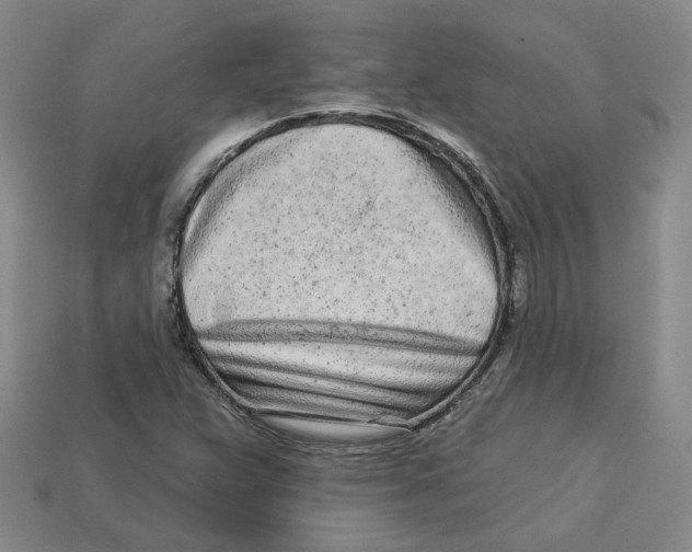 X0000113021359200909241626