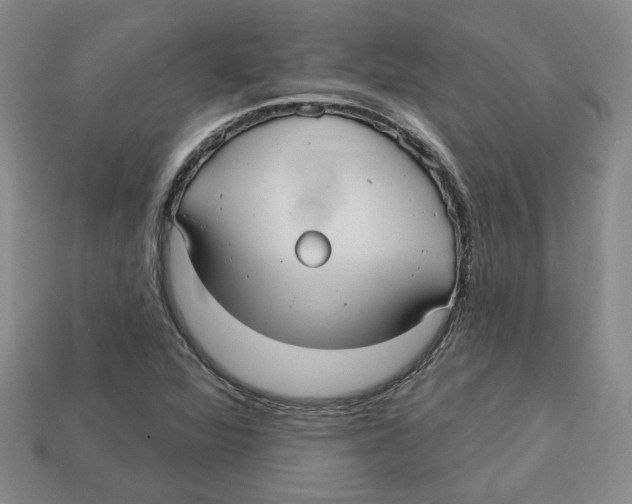 X0000113021360200909241626