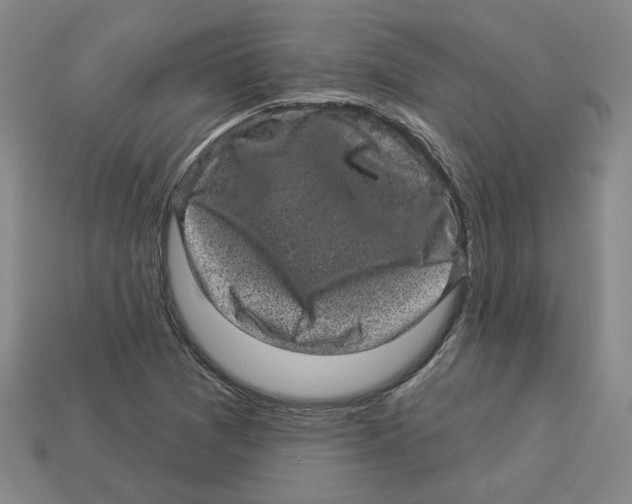 X0000113021361200909241626