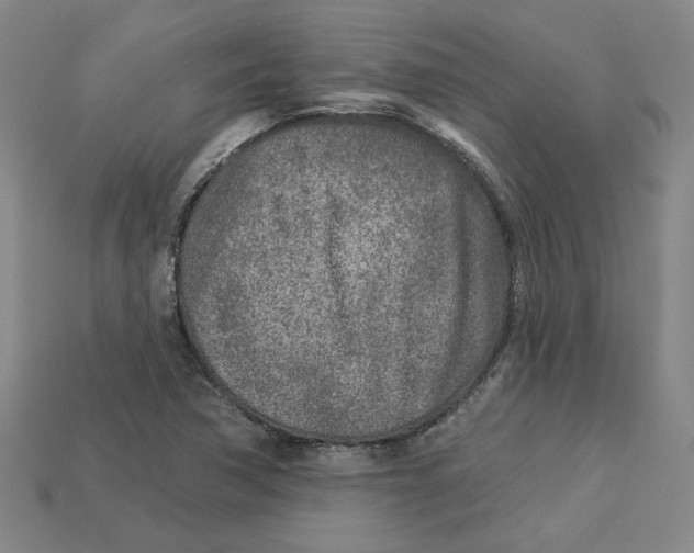 X0000113021362200909241626