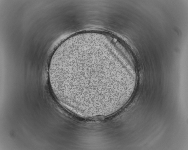 X0000113021363200909241626