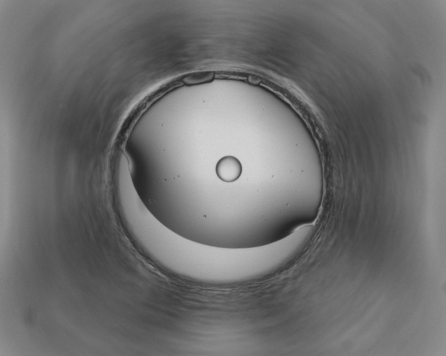 X0000113021364200909241626