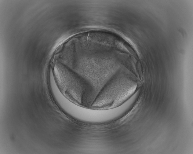 X0000113021365200909241626