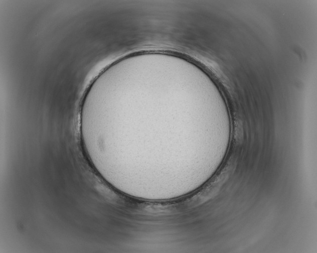 X0000113021366200909241626